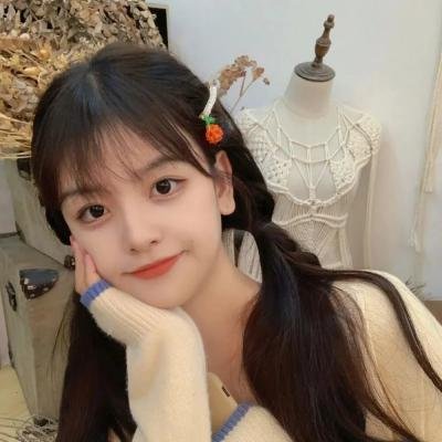 不进花瓶的洋甘菊