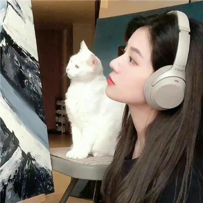 穿越古代从卖蚊香开始到一品皇商